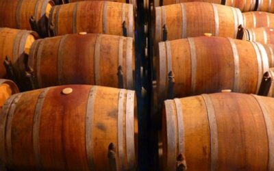 La Brand Identity del vino