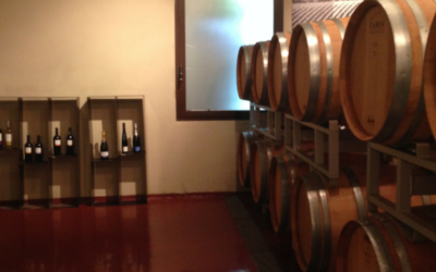 Perché un blog per la tua cantina?