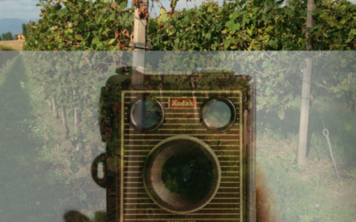 Il tuo vino è visual
