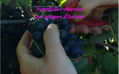 Come spieghi il tuo vino online?