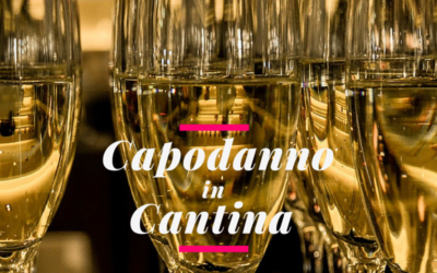 Capodanno in cantina: esperienza e divertimento