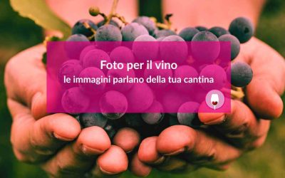 Foto per il vino: le immagini parlano della tua cantina