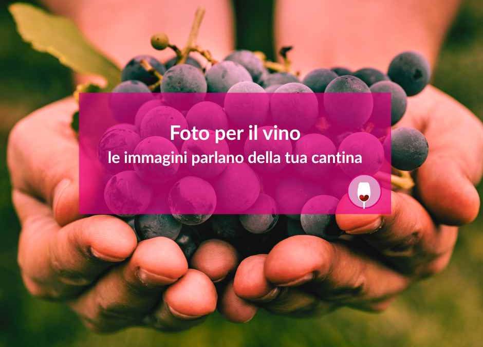 Foto per il vino: le immagini parlano della tua cantina