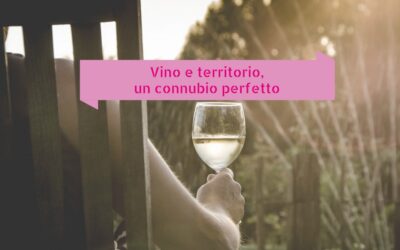 Vino e territorio, un connubio perfetto per la promozione digitale