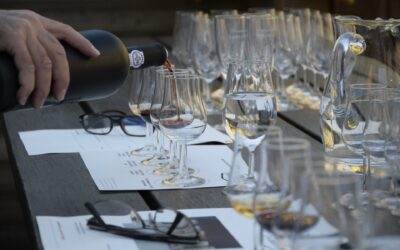 Vini e punteggi: Una breve guida